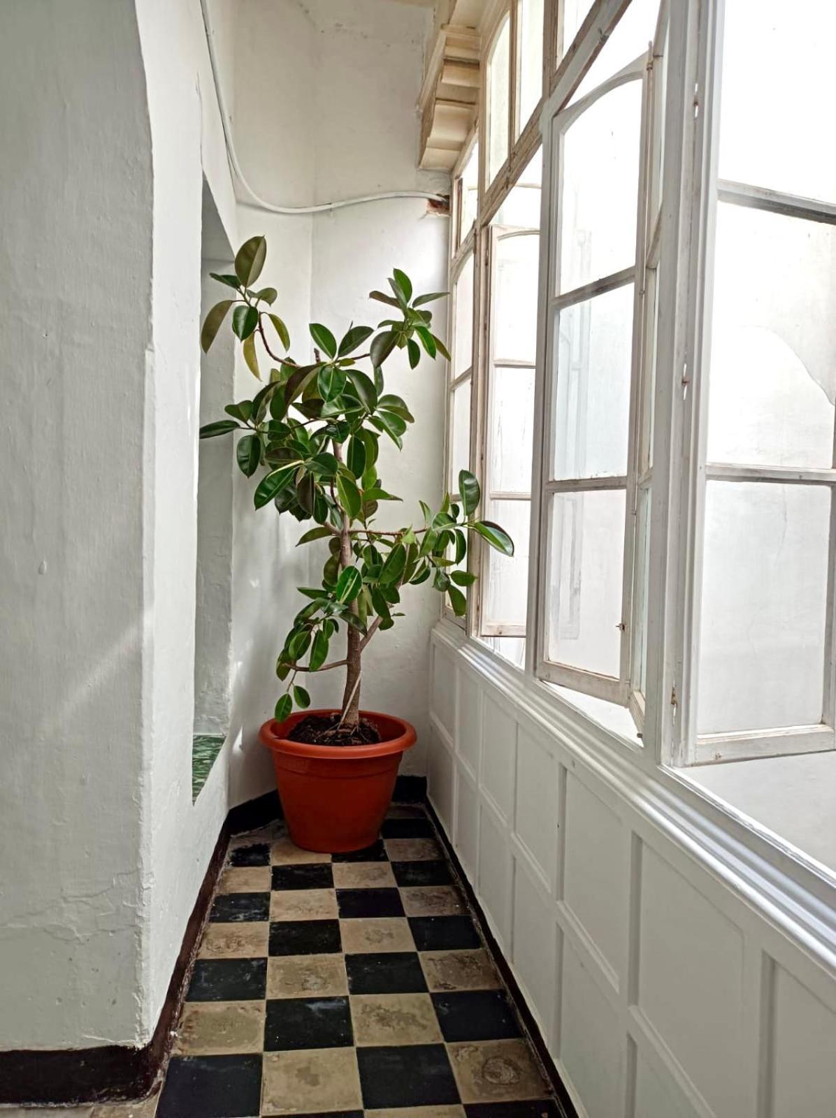 Precioso Apartamento: La Luz De Cádiz Exterior photo